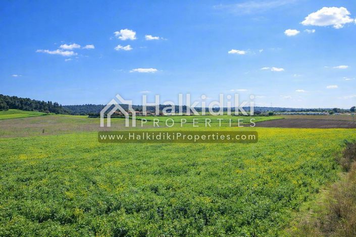 Image No.5-Land for sale