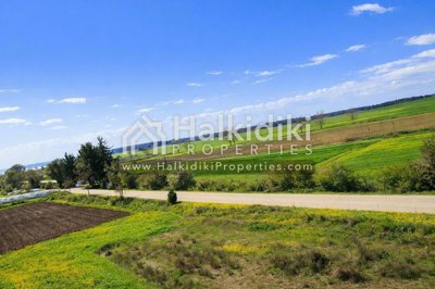land-surroundings