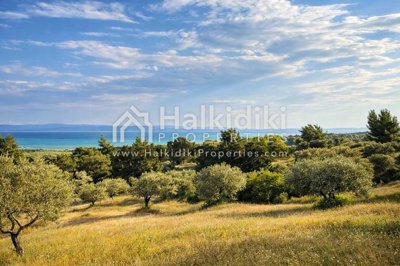 sea-view