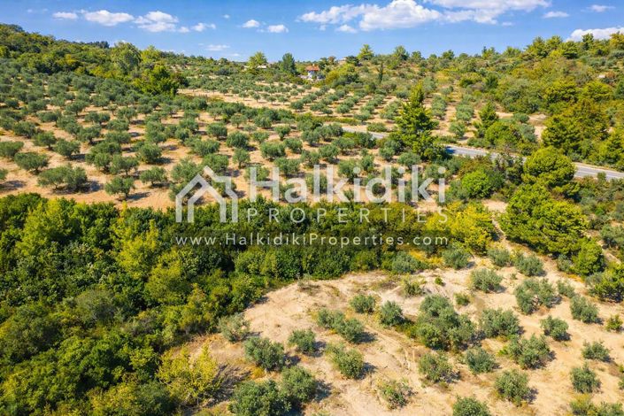 Image No.11-Land for sale