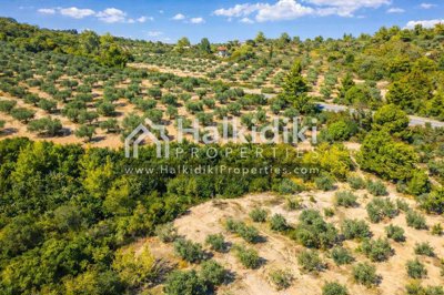 land-aerial