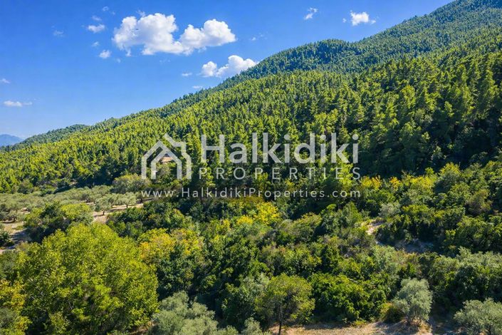 Image No.13-Land for sale