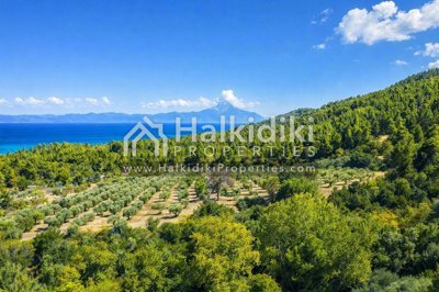 land-aerial