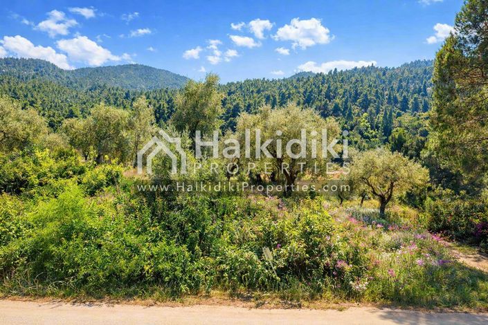 Image No.17-Land for sale