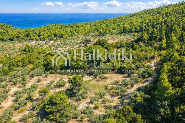 Image No.3-Land for sale