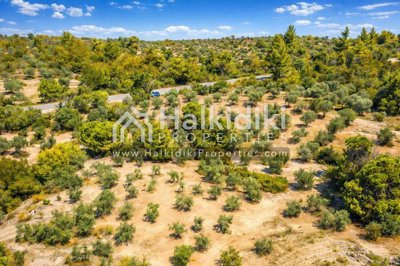 land-aerial