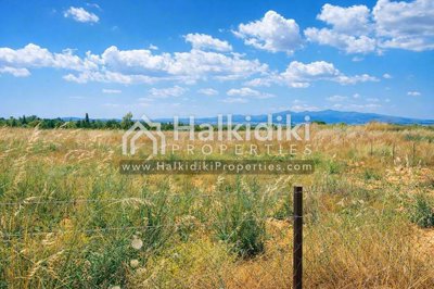 land-plot