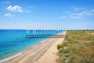 beach-view