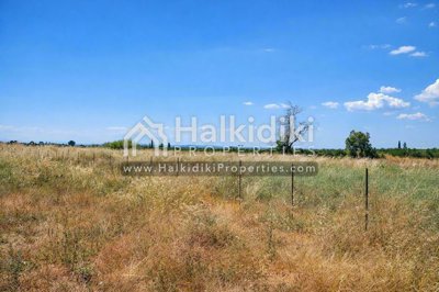 land-plot