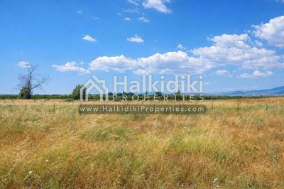 land-plot