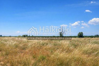 land-plot