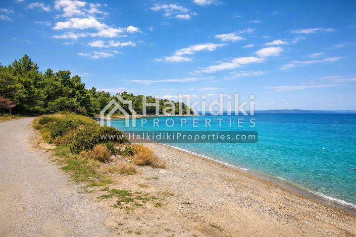 Image No.2-Terre à vendre à Halkidiki