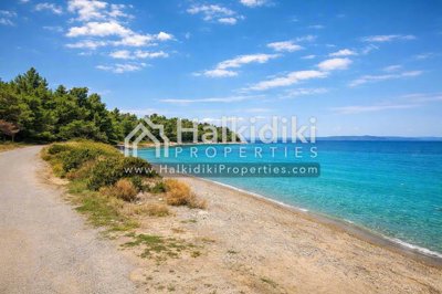 beach-view