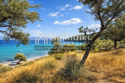 sea-view