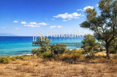sea-view