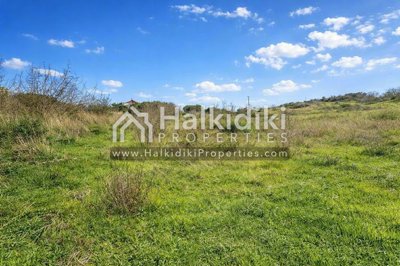 land-plot