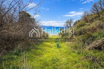 beach-view