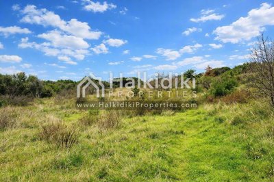 land-plot