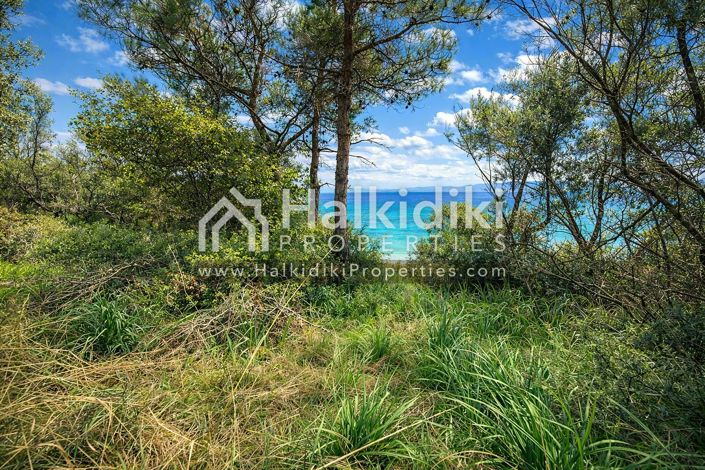 Image No.10-Plot for sale