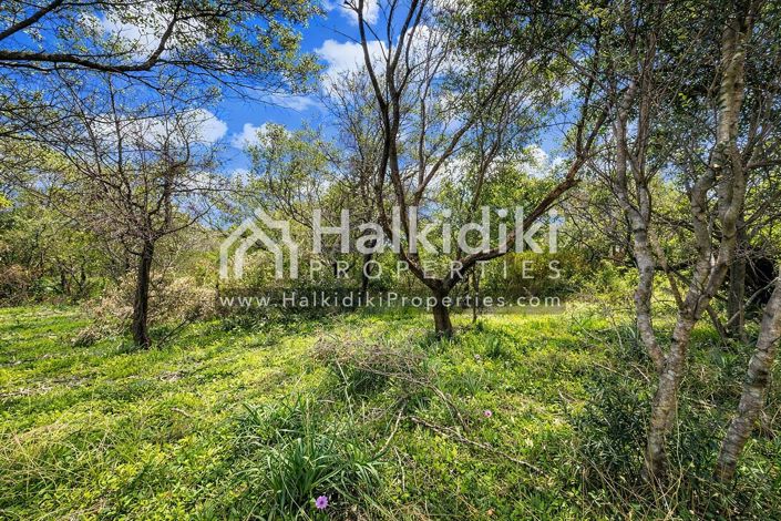 Image No.12-Plot for sale