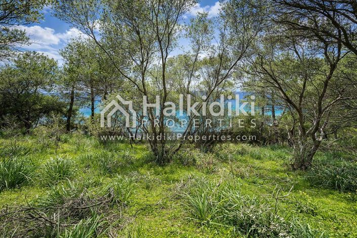 Image No.15-Plot for sale
