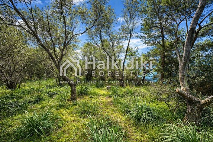 Image No.16-Plot for sale