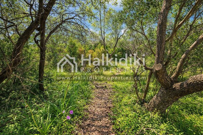Image No.3-Plot for sale