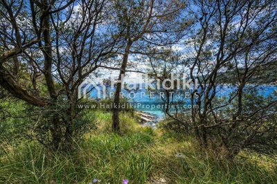 sea-view