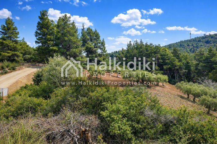 Image No.2-Land for sale