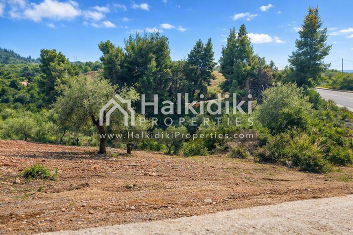 Image No.4-Land for sale