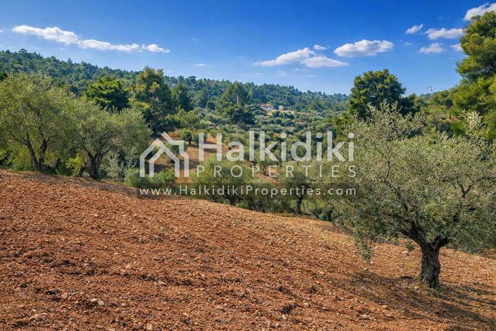 Image No.5-Land for sale