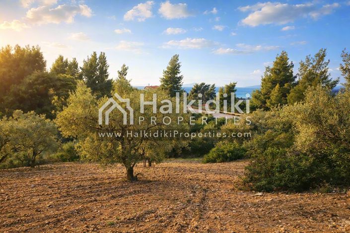 Image No.6-Land for sale
