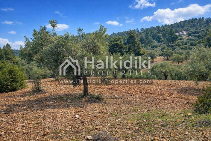 Image No.7-Land for sale
