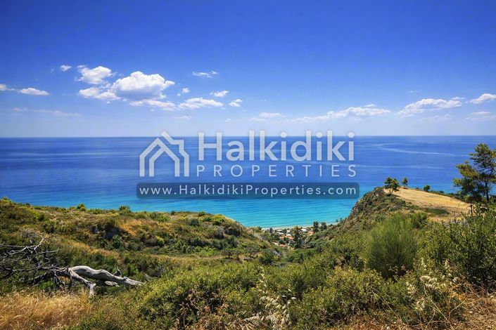 Image No.4-Terre à vendre à Halkidiki