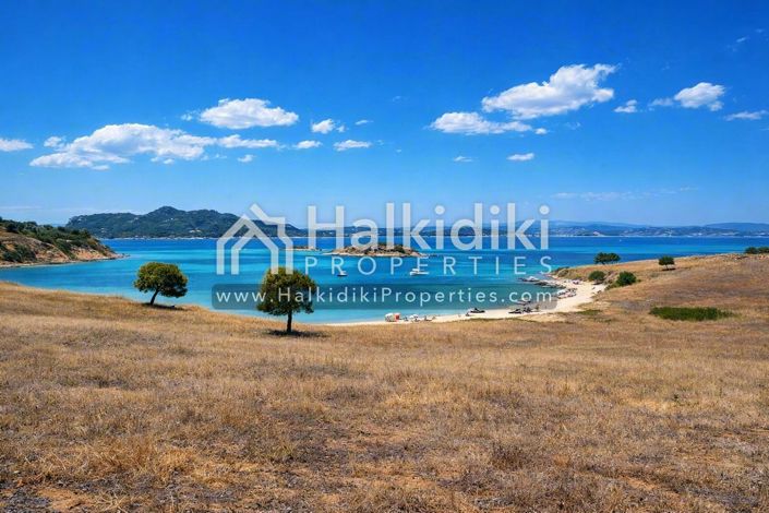 Image No.5-Terre à vendre à Halkidiki