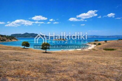 beach-view