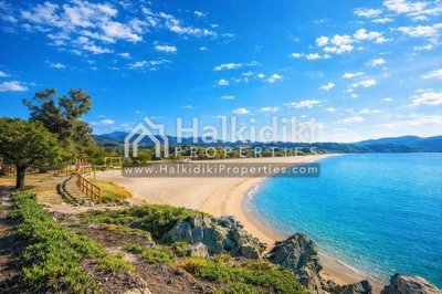 beach-view