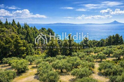 sea-view