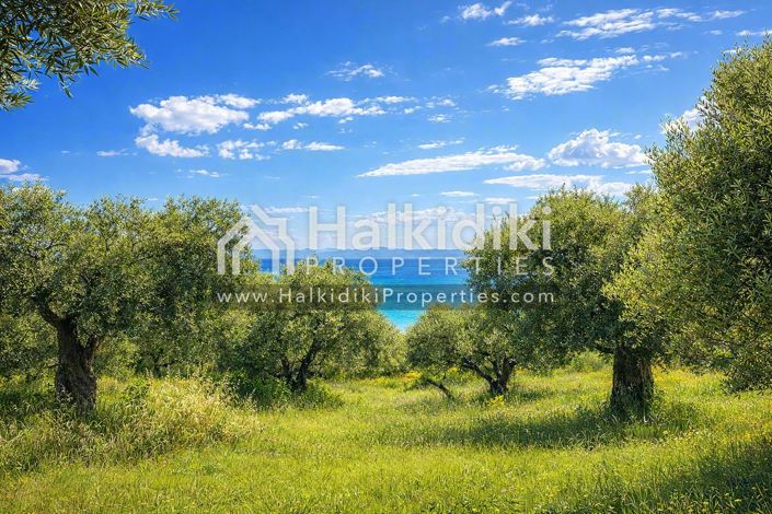 Image No.14-Studio for sale