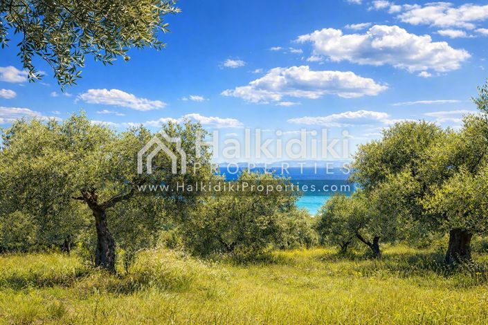 Image No.16-Studio for sale