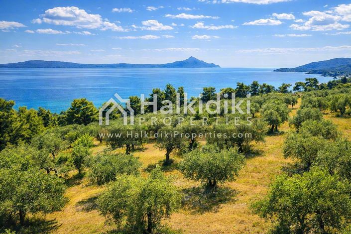 Image No.19-Studio for sale