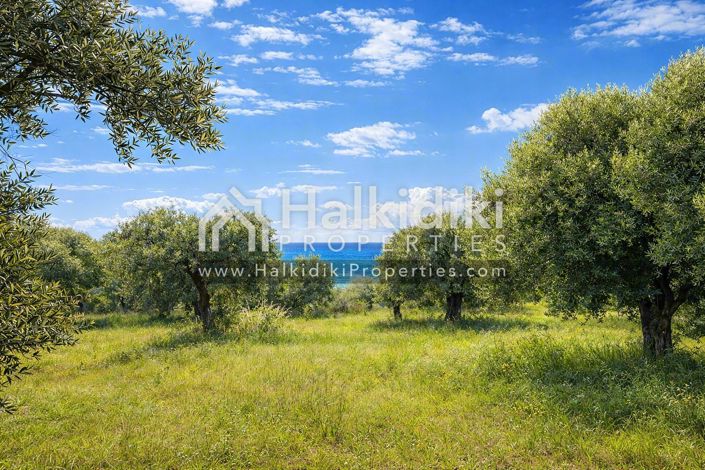Image No.20-Studio for sale