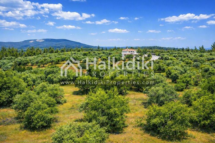 Image No.21-Studio for sale