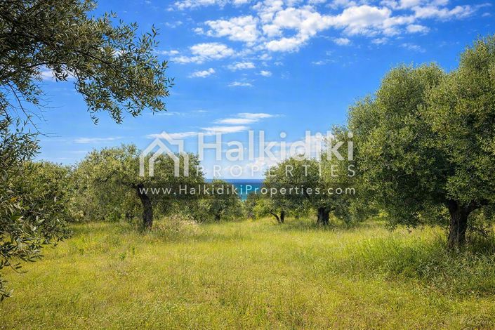 Image No.22-Studio for sale
