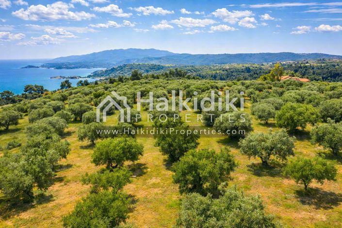 Image No.27-Studio for sale