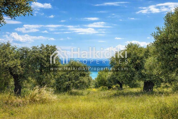 Image No.28-Studio for sale