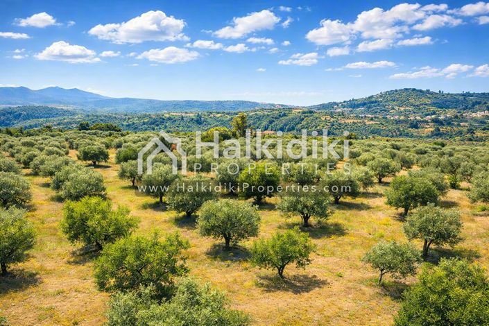 Image No.3-Studio for sale