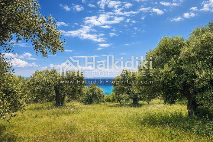 Image No.33-Studio for sale