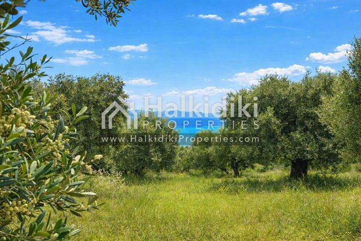 Image No.35-Studio for sale