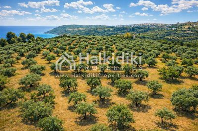land-aerial